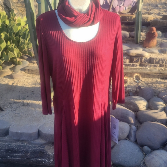 NWT Ribbed Dress With Matching Infinity Scarf - Picture 3 of 5